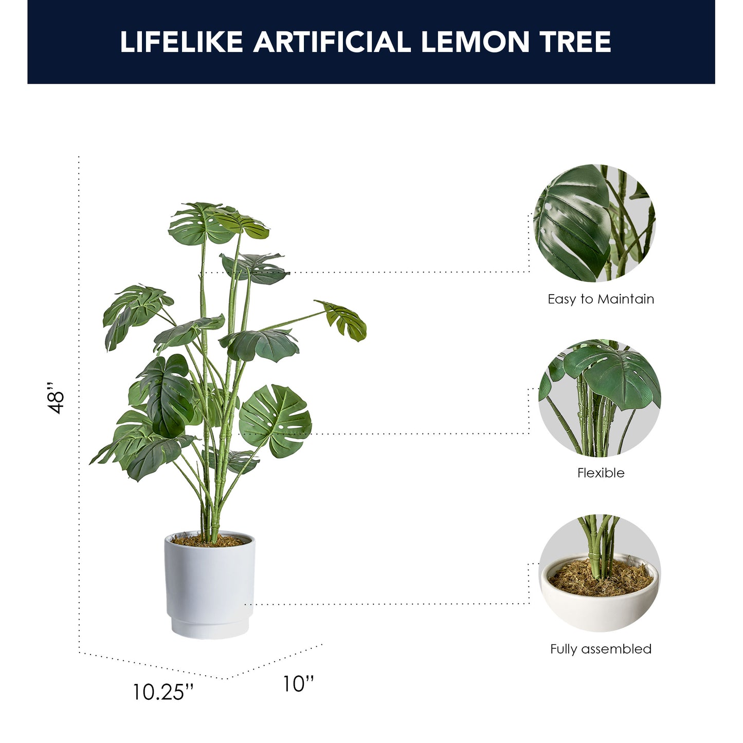 Artificial Monstera Tree in White Ceramic Pot with Pedestal - 48" - Botanica Home ™