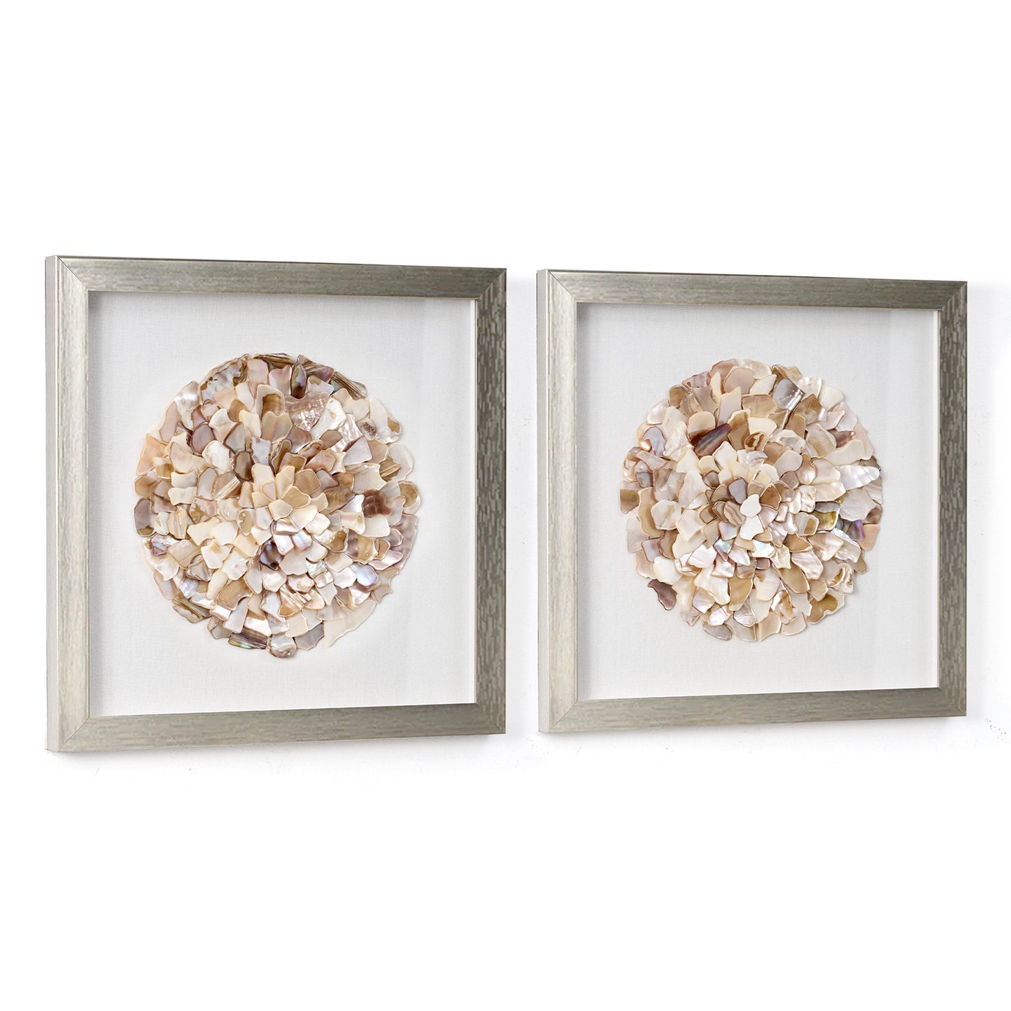 A Shell of a Time Framed - Natural