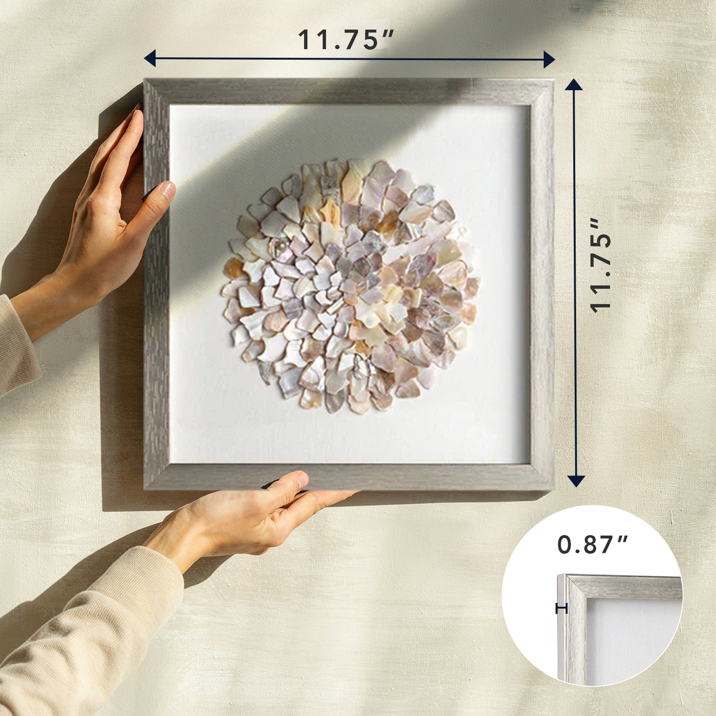 A Shell of a Time Framed - Natural