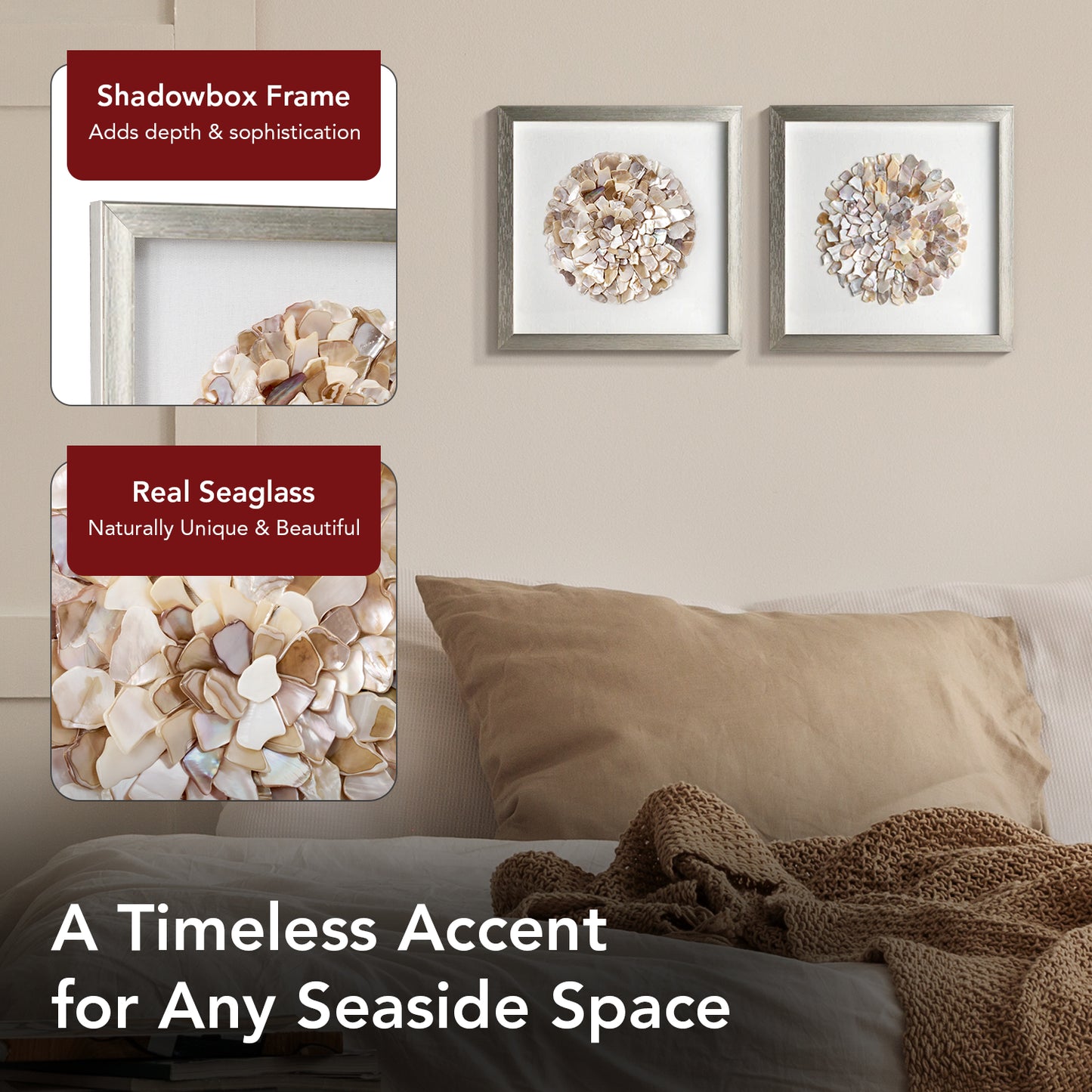 A Shell of a Time Framed - Natural