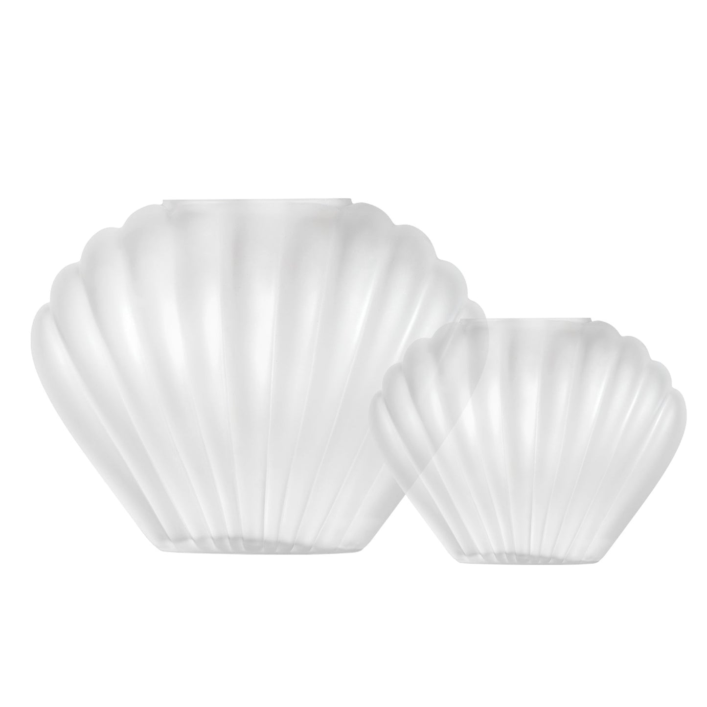 Sea Scallops Misted Glass Vase Set
