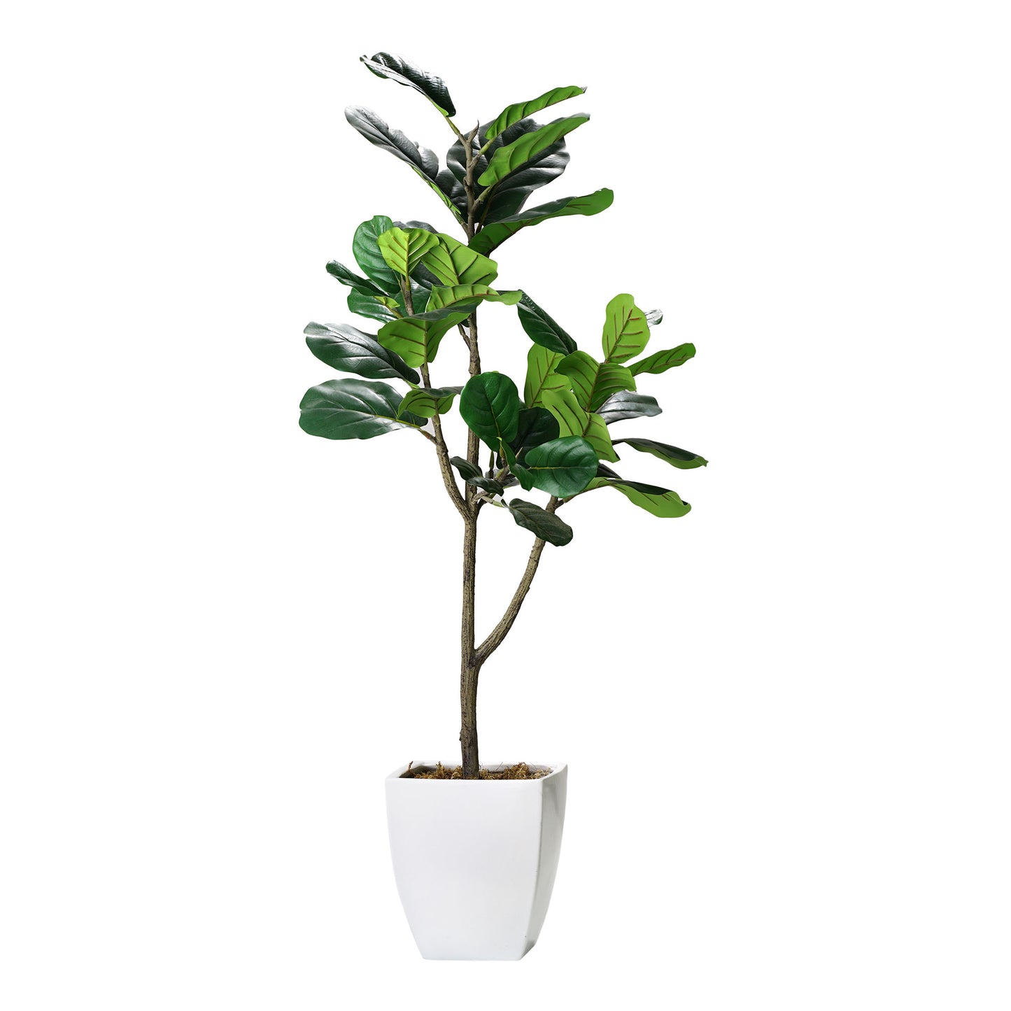 Artificial Fiddle Fig Tree in White Square Ceramic Pot - 48" - Botanica Home ™