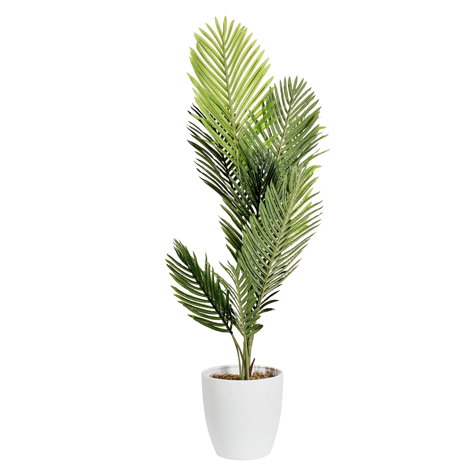 artificial palm tree plant indoor Artificial Palm Tree in White Tapered Ceramic Pot - 48"