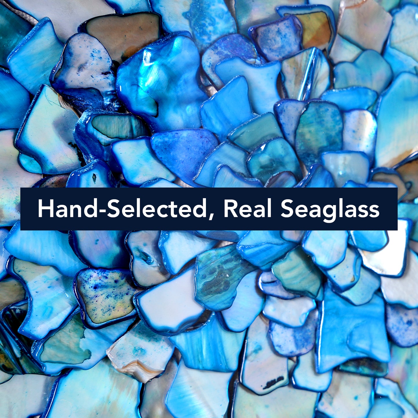 Framed Wall Art with Seashell decoration and Glass Cover 2-Piece Set in Blue