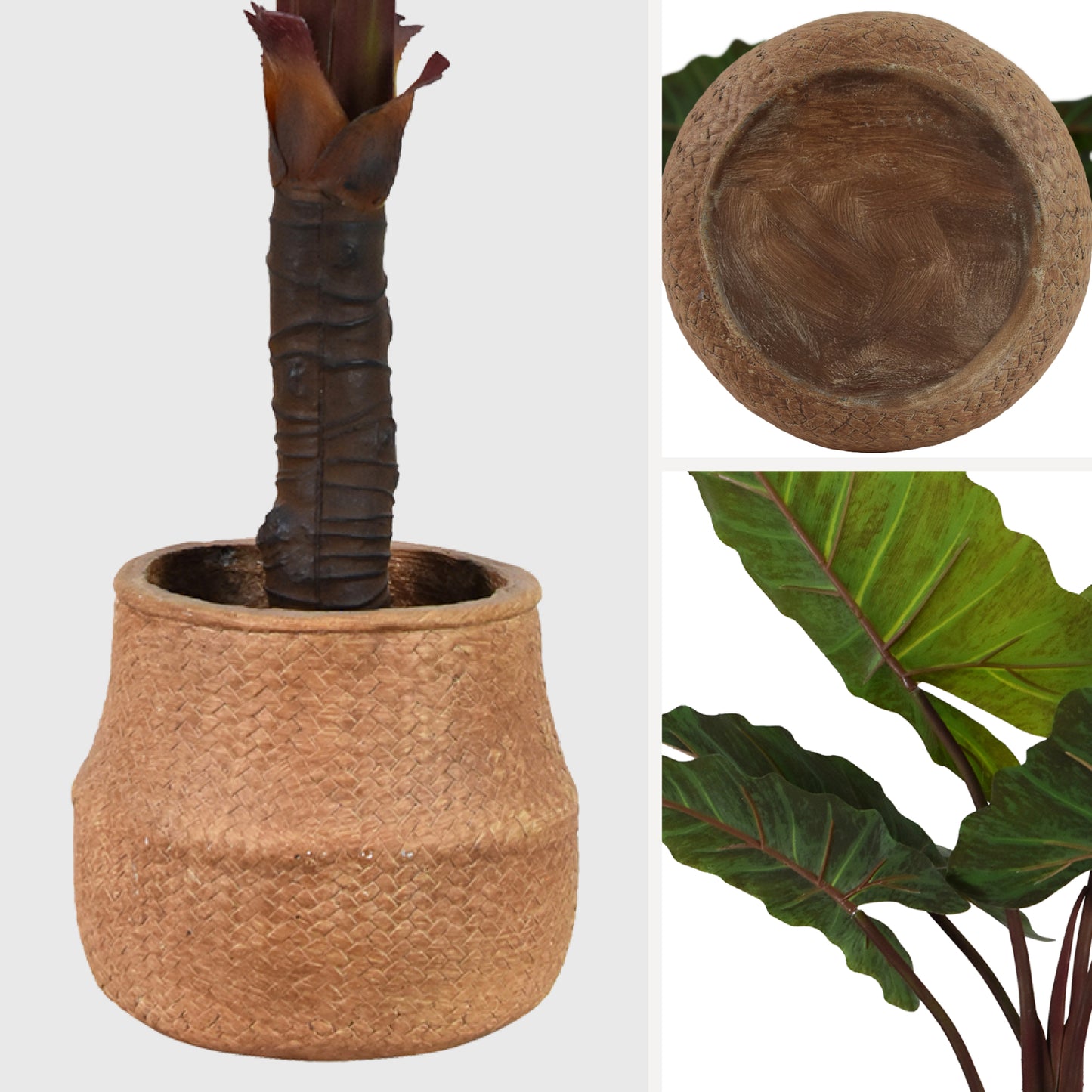 Artificial Rainbow Taro Tree in Cement Pot Faux Plant for Home or Office - 60"