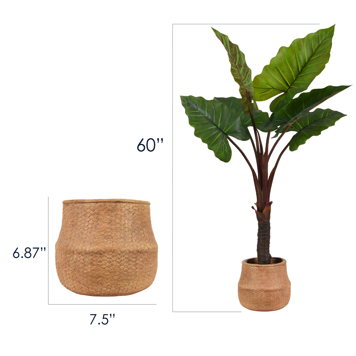 Artificial Rainbow Taro Tree in Cement Pot Faux Plant for Home or Office - 60"