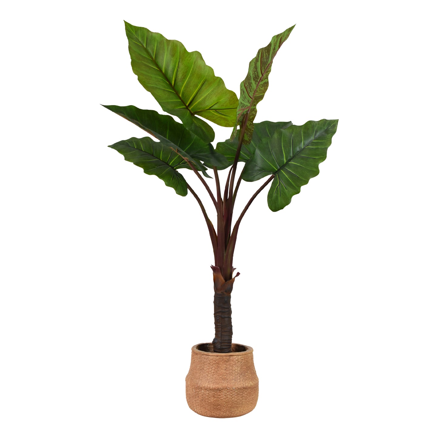 Artificial Rainbow Taro Tree in Cement Pot Faux Plant for Home or Office - 60"