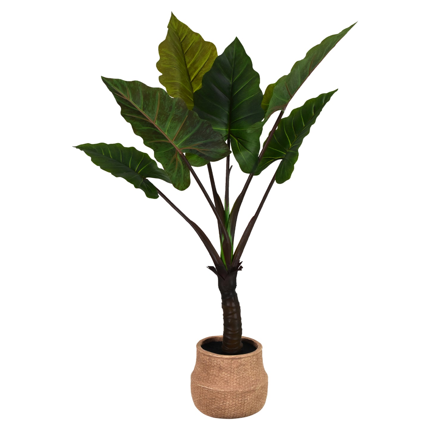 Artificial Rainbow Taro Tree in Cement Pot Faux Plant for Home or Office - 48"