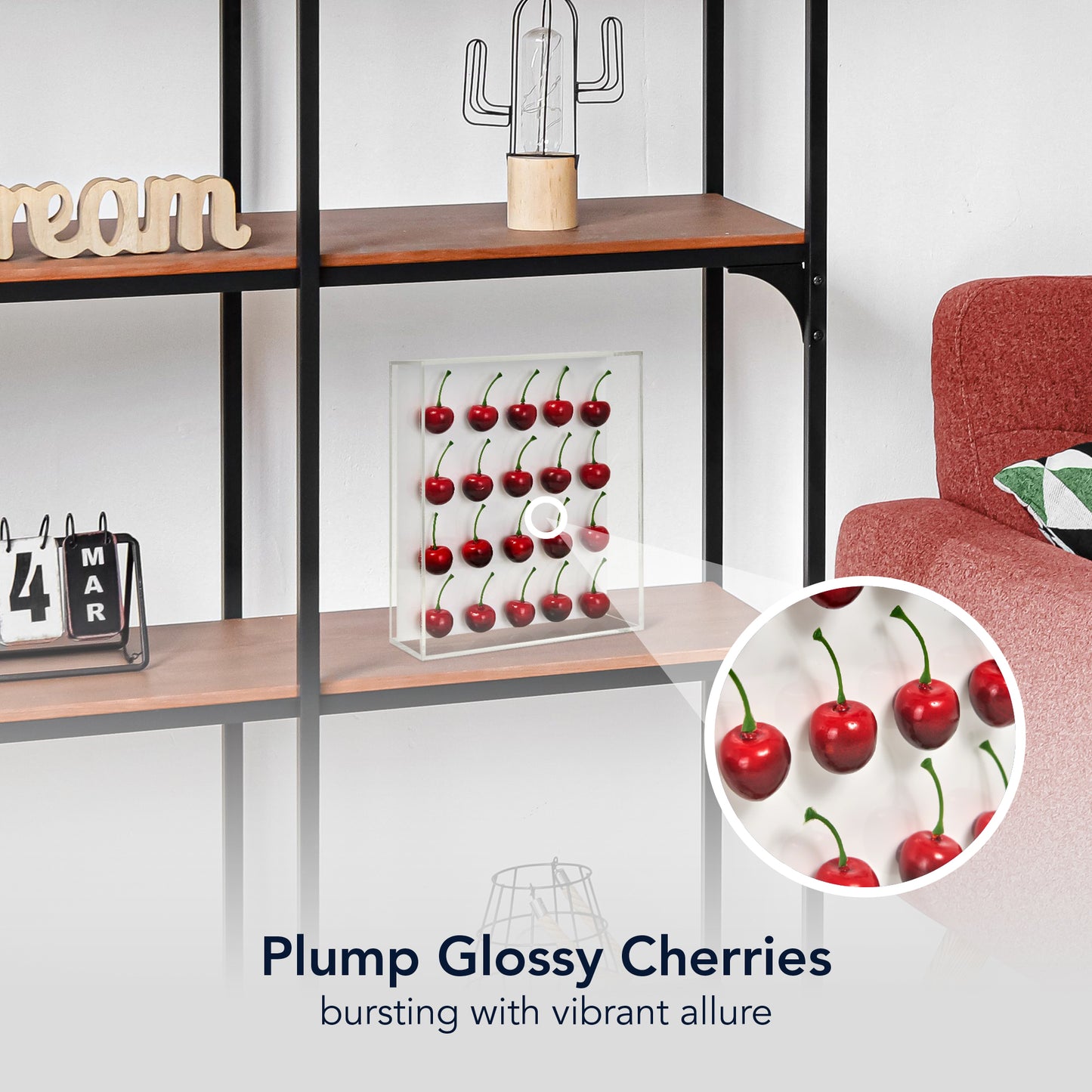 Acrylic Shadow Box 20 Red Cherry Wall Decor