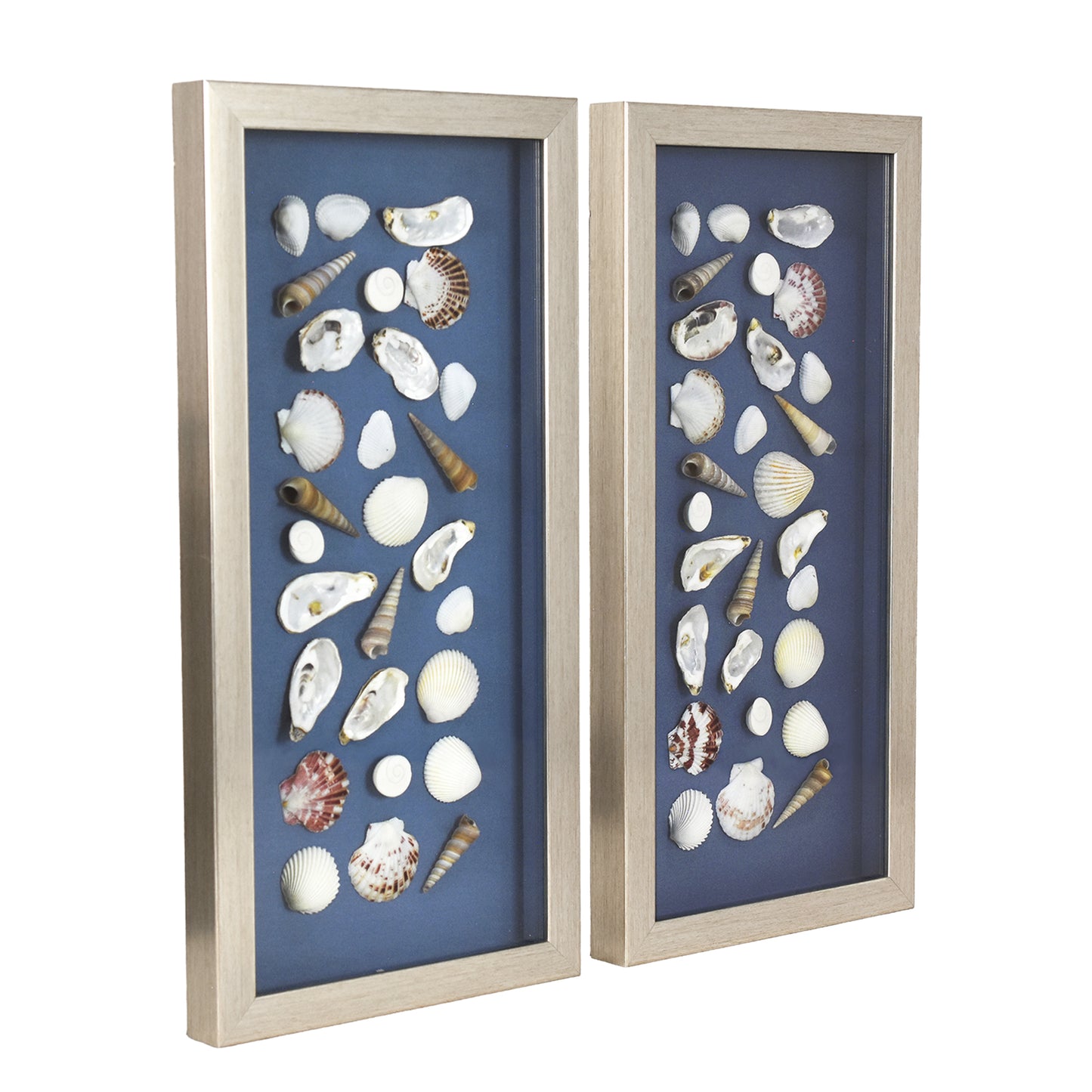 2-pc Mixed Seashell Shadowbox Framed Wall Art - Blue Linen Coastal Decor