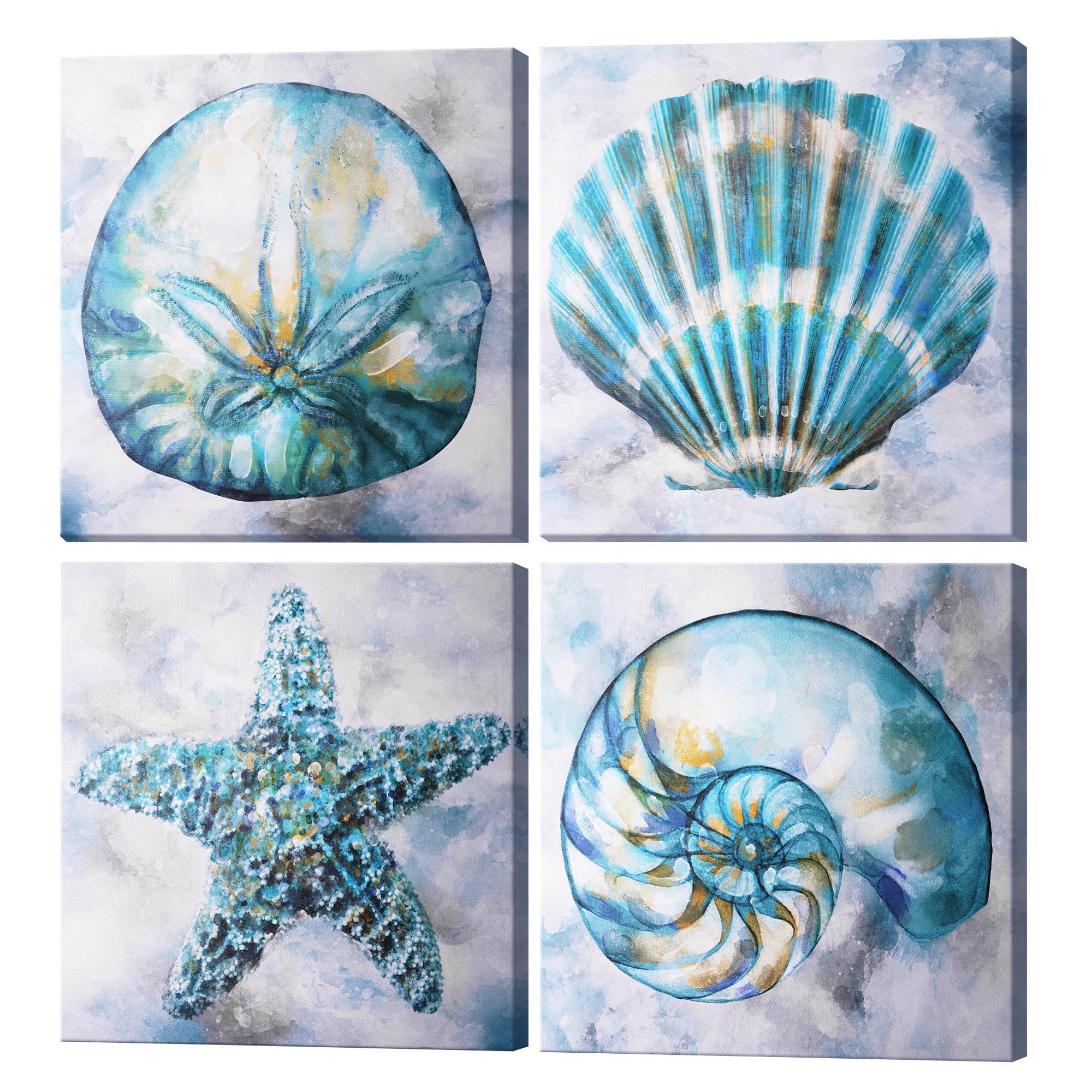Coastal Beach Themed Seashells Starfish Canvas Art - 24 coastal-beach-themed-seashells-starfish-canvas-art-24-x-24-americanartdecor-com