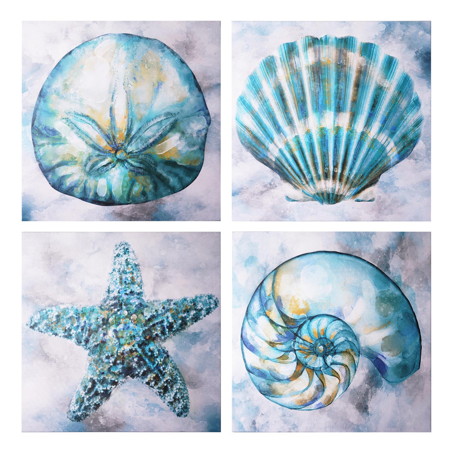 Coastal Beach Seashells Starfish Canvas Art - 24" x 24"