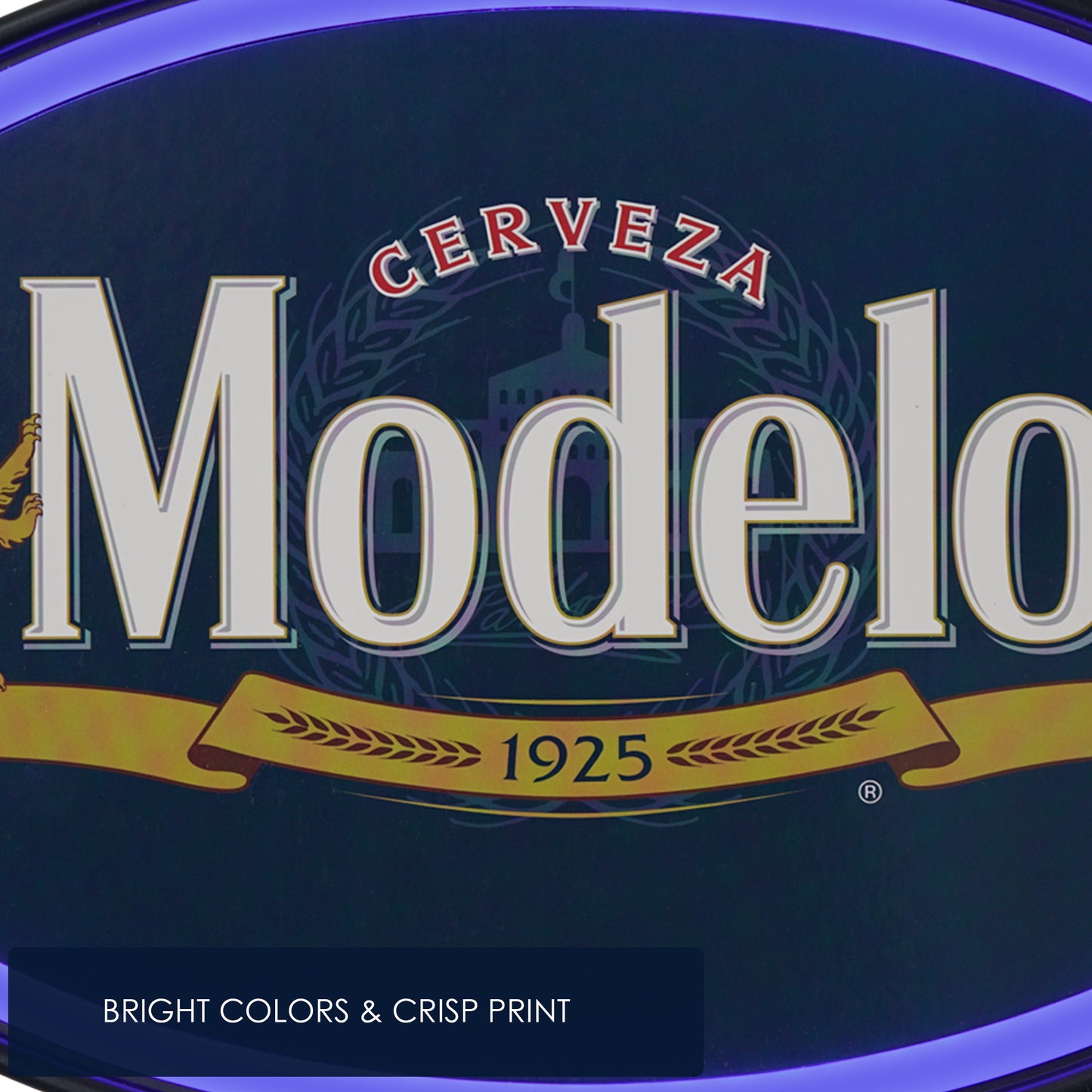 Officially Licensed Modelo Oval Neon LED Rope Wall Sign (16"x10")