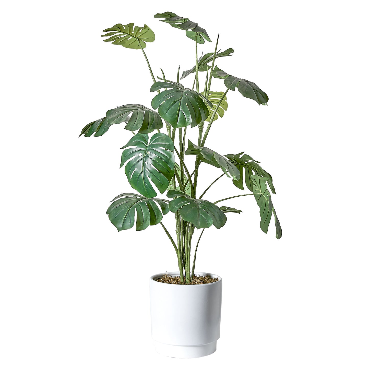 Artificial Monstera Tree in White Ceramic Pot with Pedestal - 48" - Botanica Home ™
