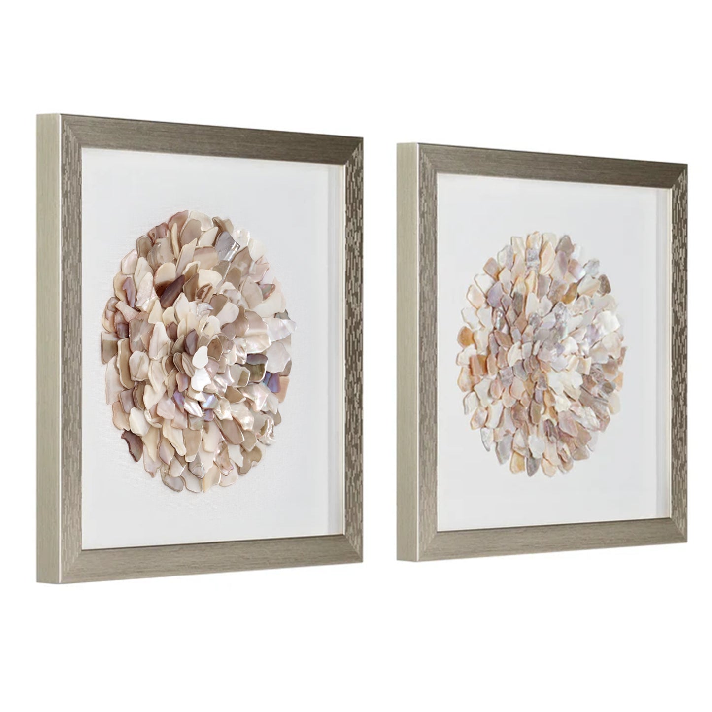 A Shell of a Time Framed - Natural