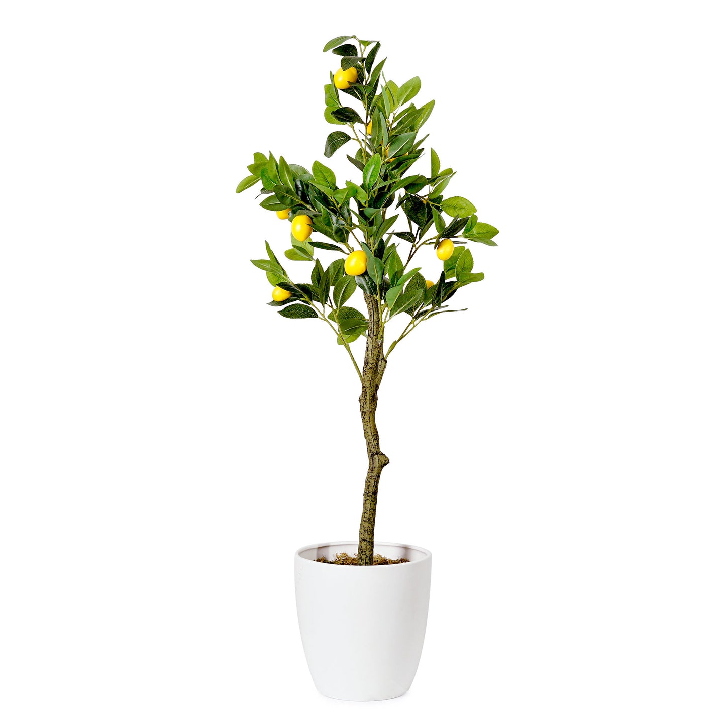 Artificial Lemon Tree in White Tapered Ceramic Pot - 48" - Botanica Home ™