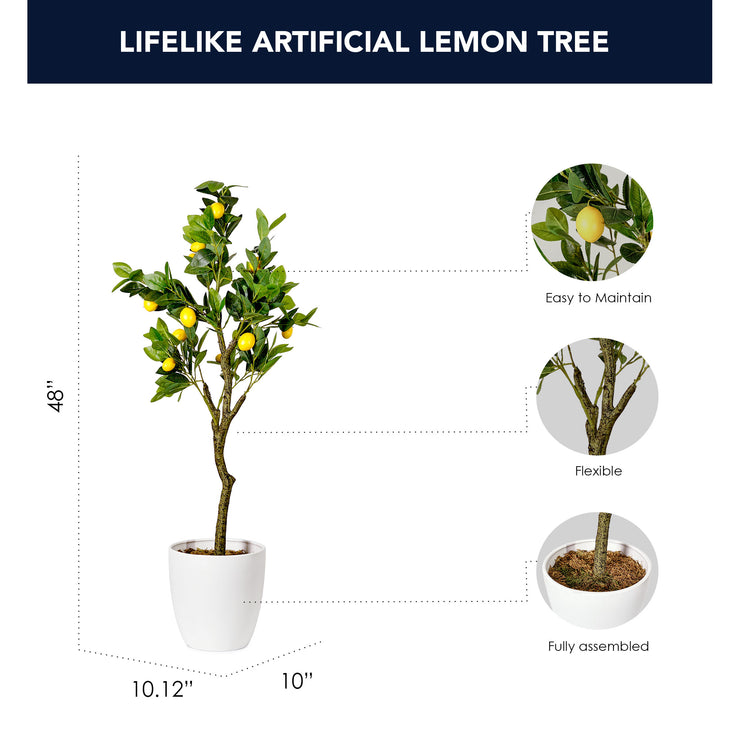 Artificial Lemon Tree in White Tapered Ceramic Pot - 48" - Botanica Home&trade;