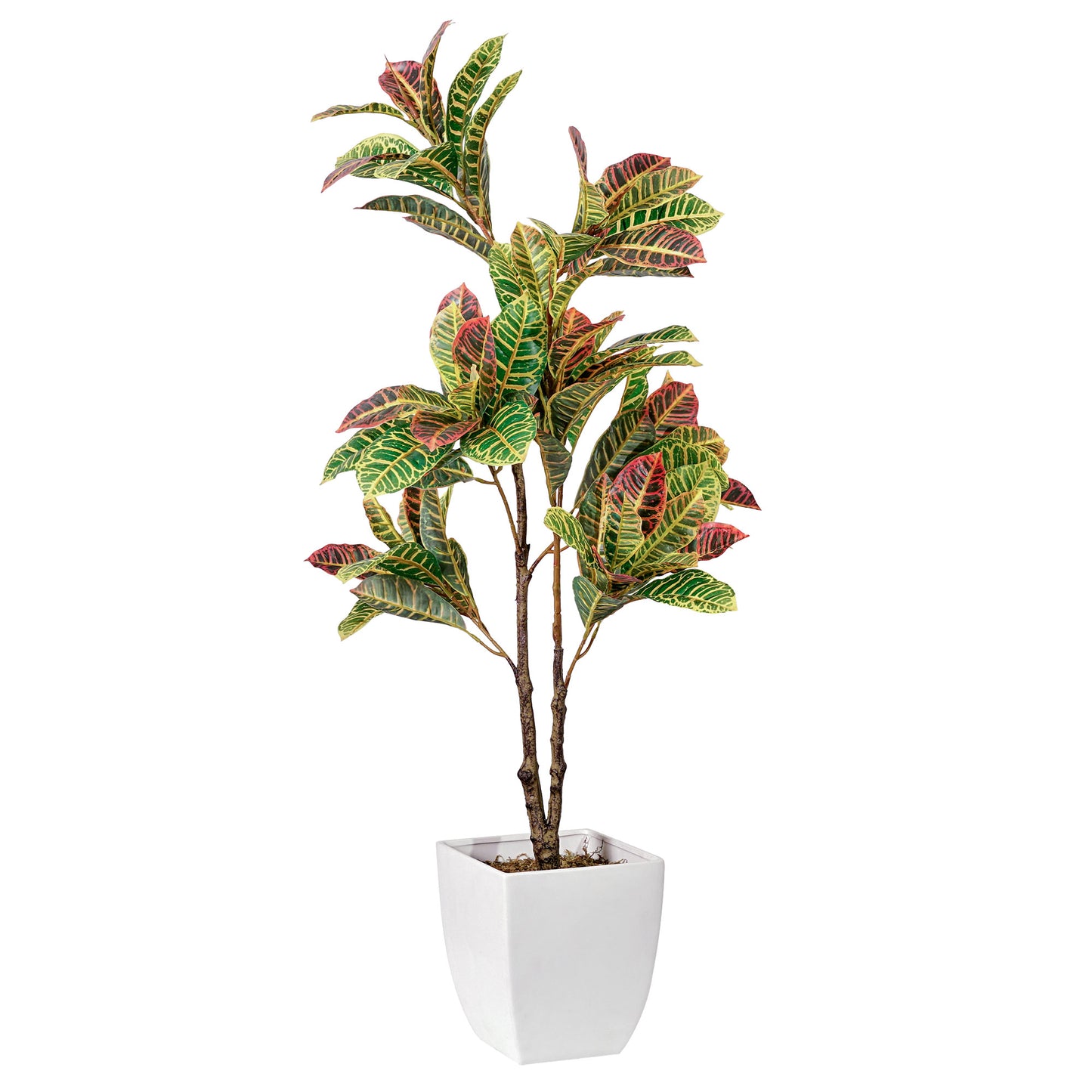 Artificial Croton Tree in White Square Ceramic Pot - 48" - Botanica Home ™