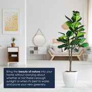 Artificial Fiddle Fig Tree in White Square Ceramic Pot - 48" - Botanica Home&trade;