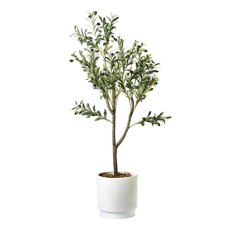 Artificial Olive Tree in White Ceramic Pot with Pedestal - 48" - Botanica Home&trade;