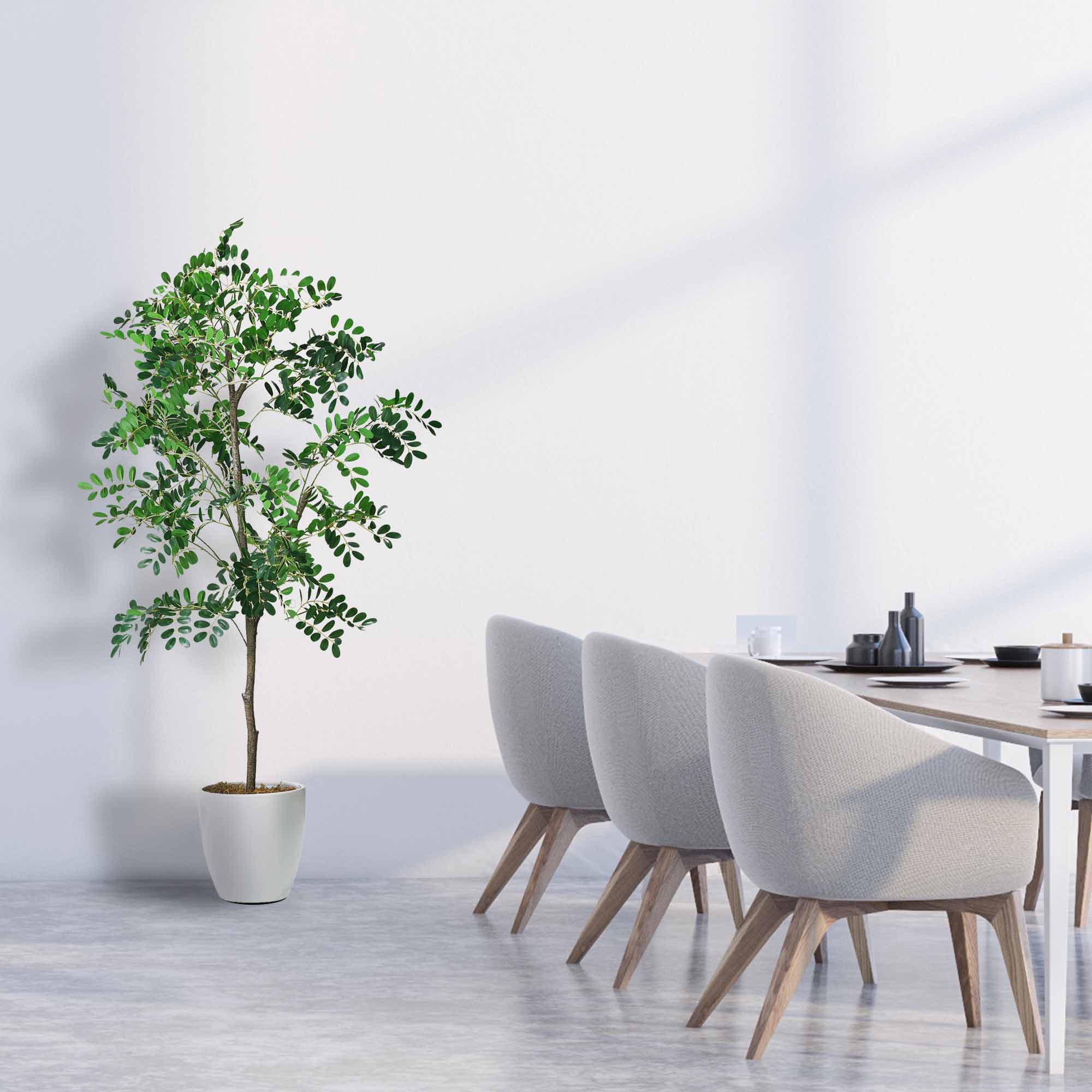 Artificial Sorbus Tree in White Tapered Pot - 60