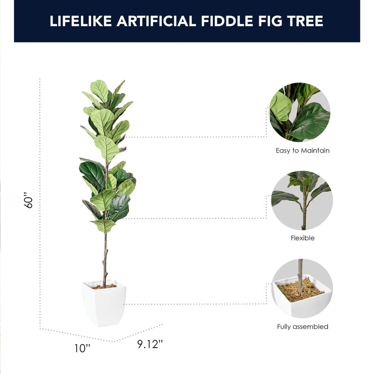 Artificial Fiddle Fig Tree in White Square Ceramic Pot - 60" - Botanica Home&trade;