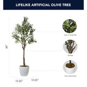Artificial Olive Tree in White Ceramic Testured Pot - 60" - Botanica Home&trade;