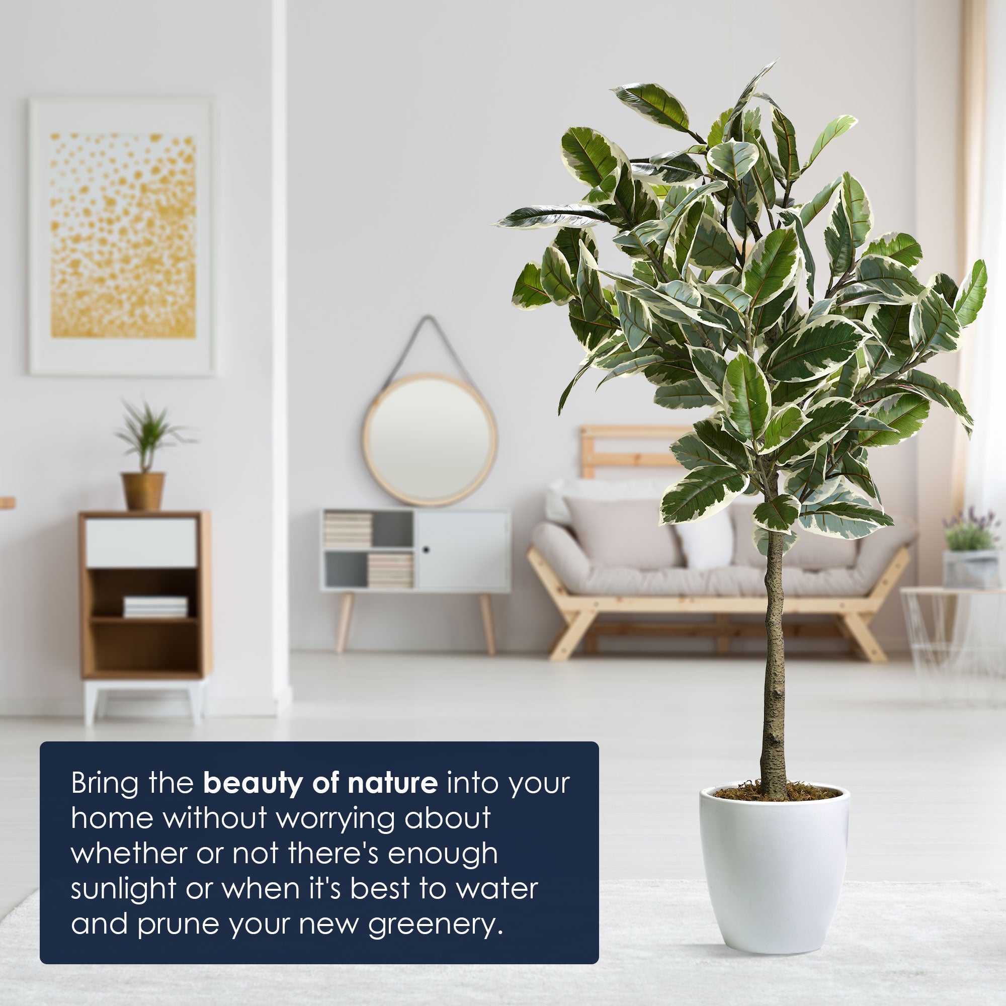 Artificial Variegated Rubber Tree in White Ceramic Tapered Pot - 60