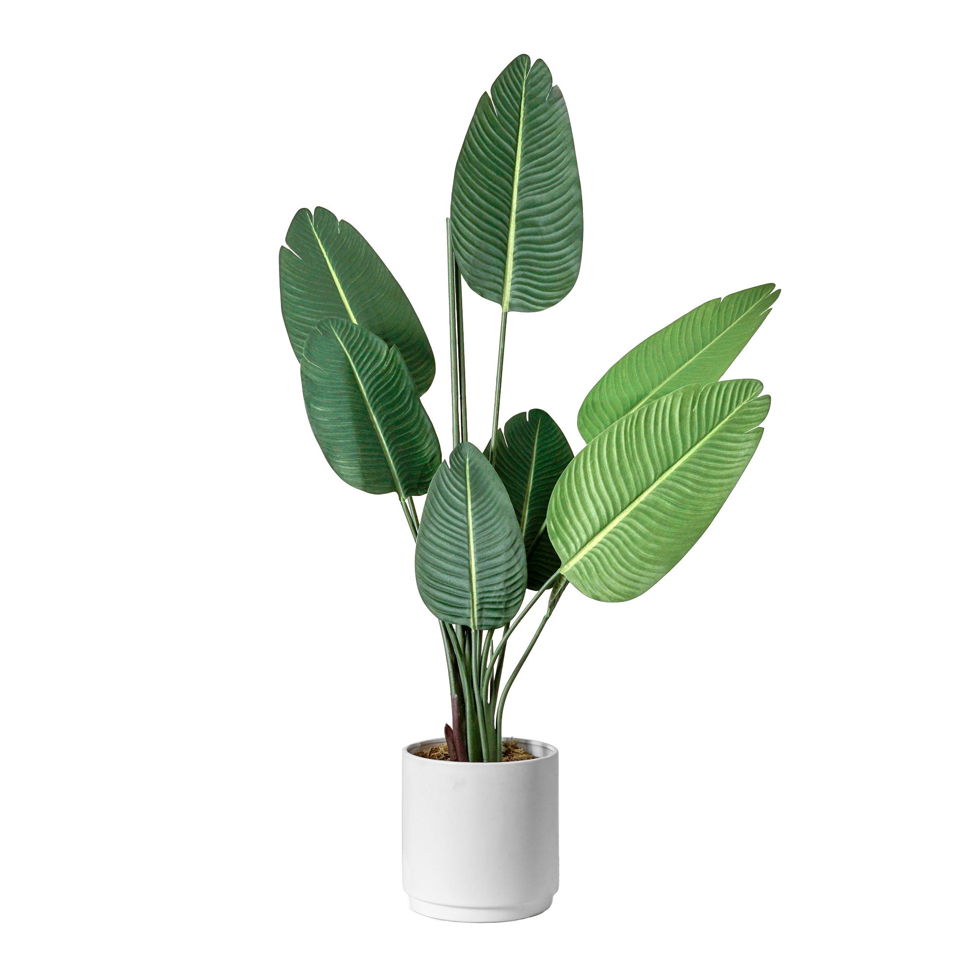 Artificial Banana Palm Tree in White Ceramic Pot with Pedestal - 60