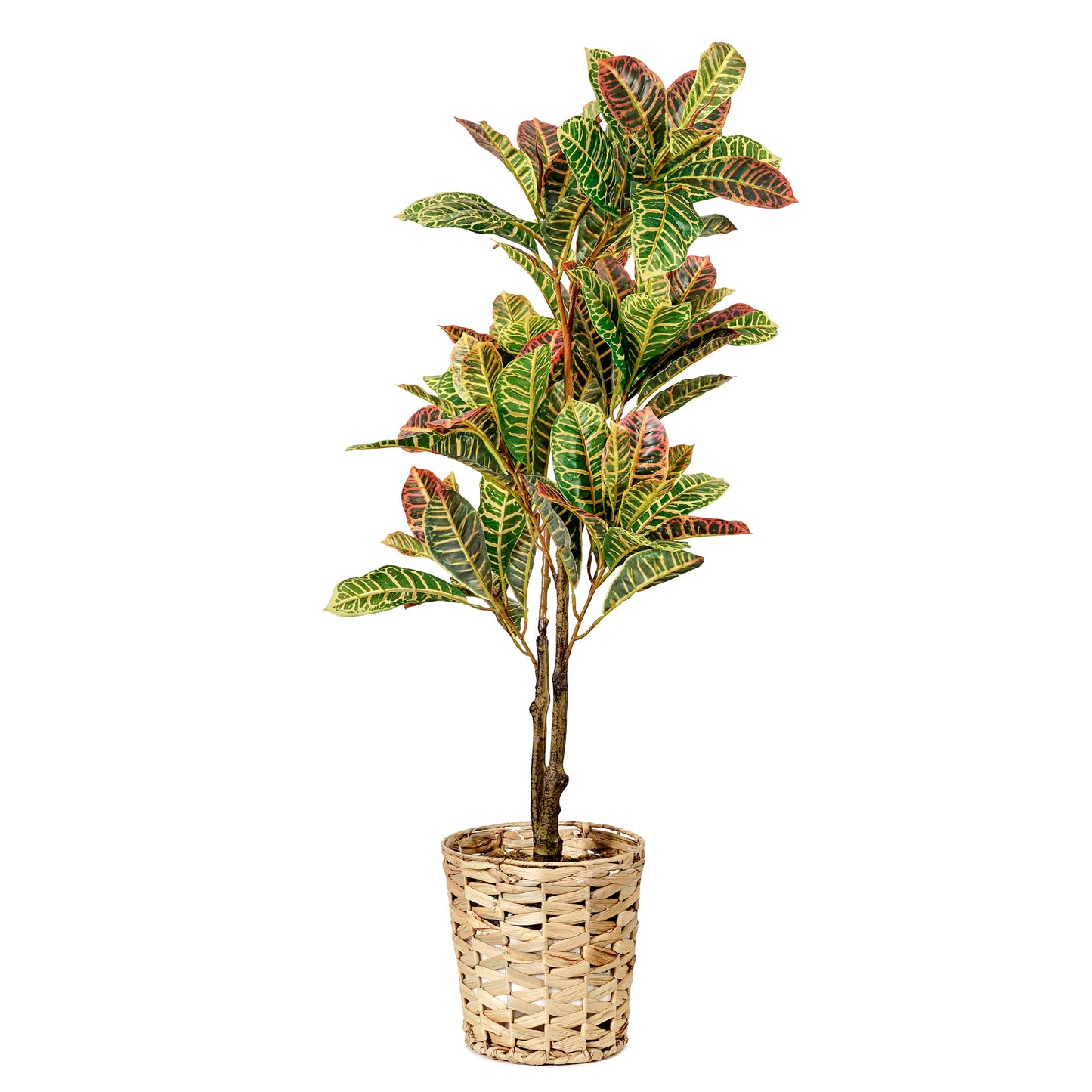 Artificial Croton Tree in Water Hyacinth Woven Basket - 48" -- Botanica Home ™