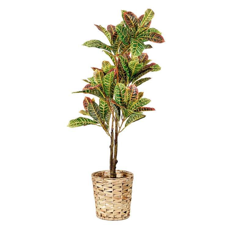 Artificial Croton Tree in Water Hyacinth Woven Basket - 48" -- Botanica Home&trade;