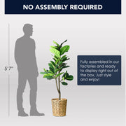 Artificial Fiddle Fig Tree in Water Hyacinth Woven Basket - 48" - Botanica Home&trade;