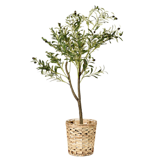 Artificial Olive Tree in Water Hyacinth Woven Basket - 48" - Botanica Home ™