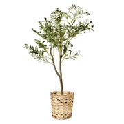 Artificial Olive Tree in Water Hyacinth Woven Basket - 48" - Botanica Home&trade;
