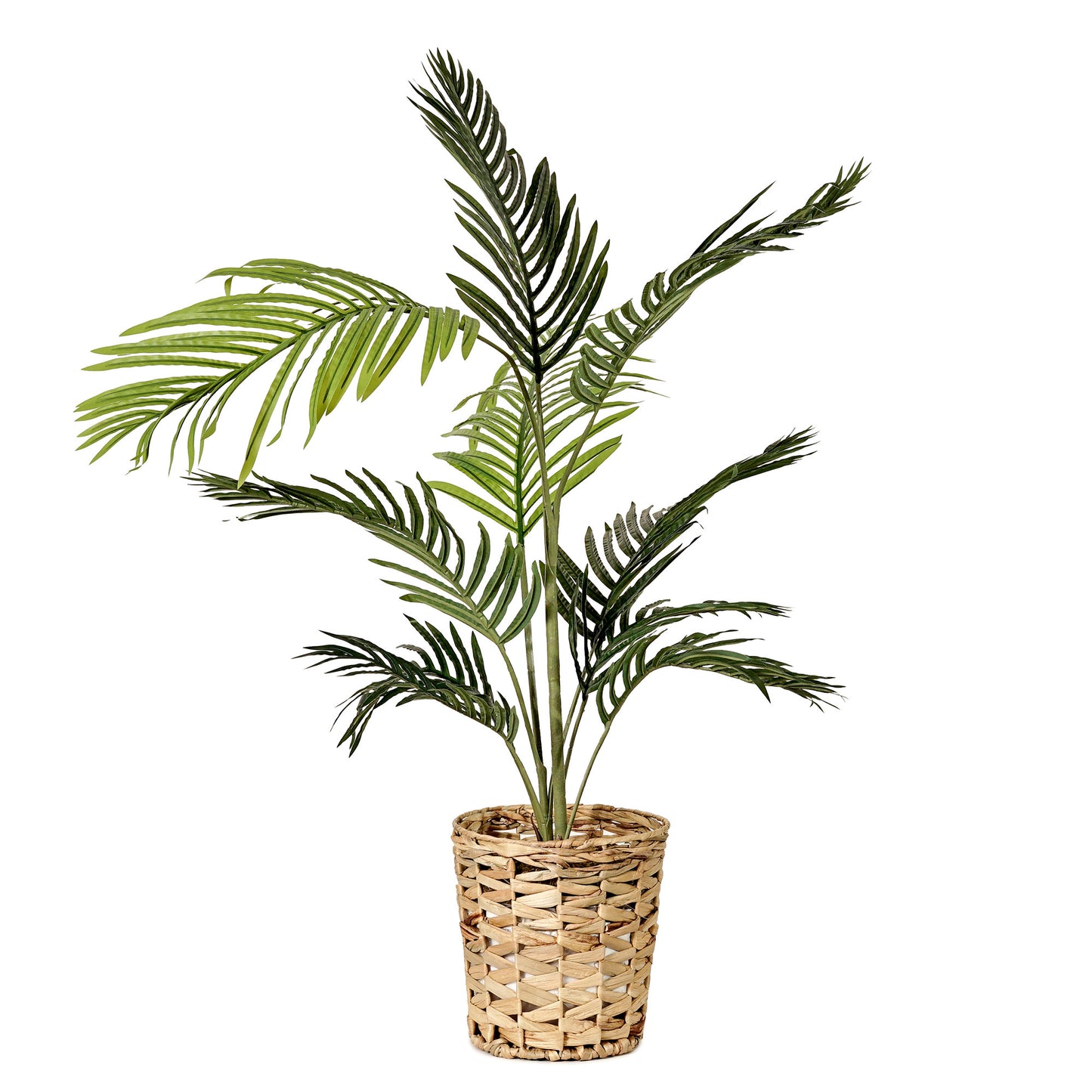 Artificial Palm Tree in Water Hyacinth Woven Basket - 48" - Botanica Home ™
