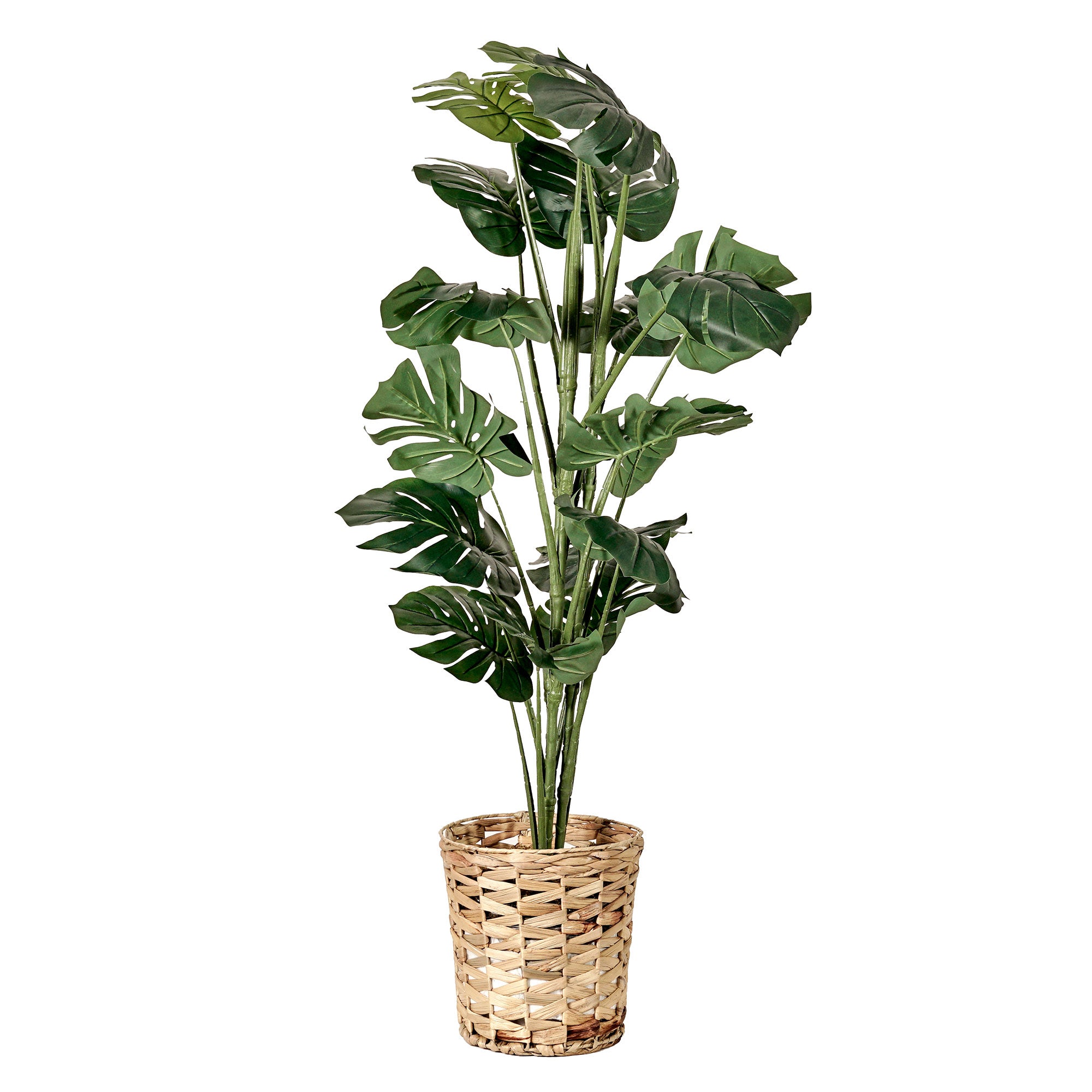 Artificial Monstera Tree in Water Hyacinth Woven Basket - 48