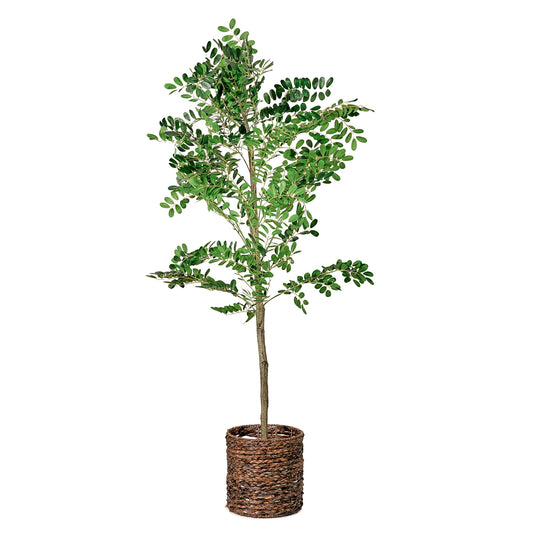 Artificial Sorbus Tree in Water Hyacinth Woven Basket - 60" - Botanica Home ™