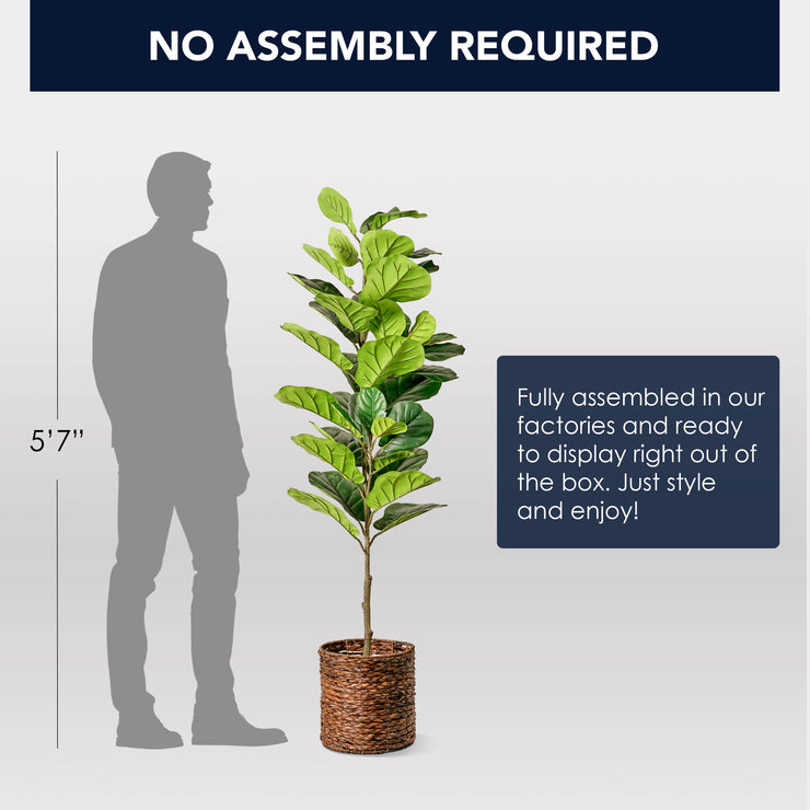 Artificial Fiddle Fig Tree in Water Hyacinth Woven Basket - 60" - Botanica Home&trade;