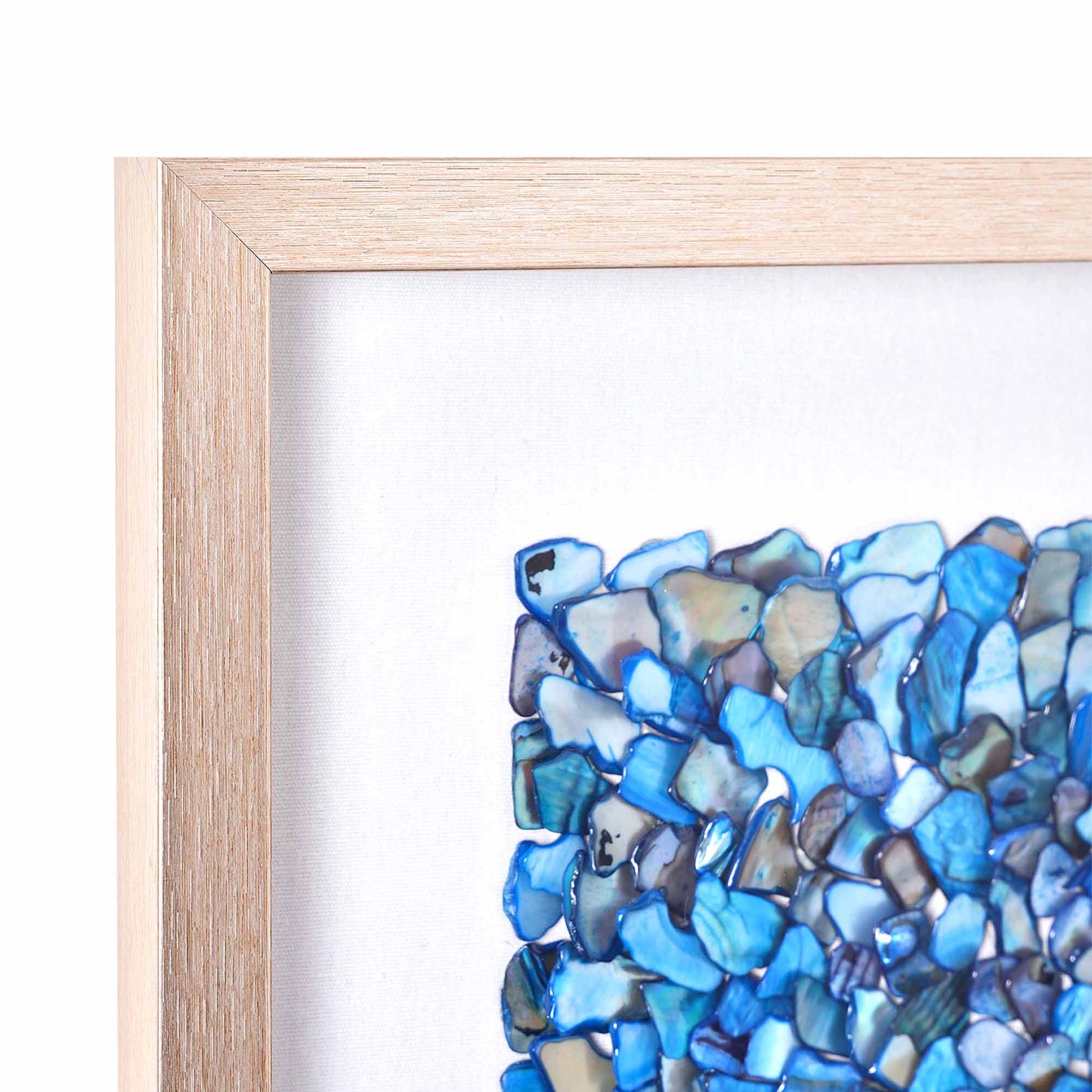 Seashell Wall Decor in Shadowbox Frame in Blue