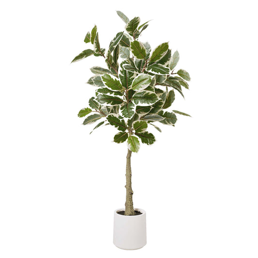 Realistic Artificial Variegated Rubber Tree Faux Plant in a White Pot for Indoor Living Room or Office - 60"