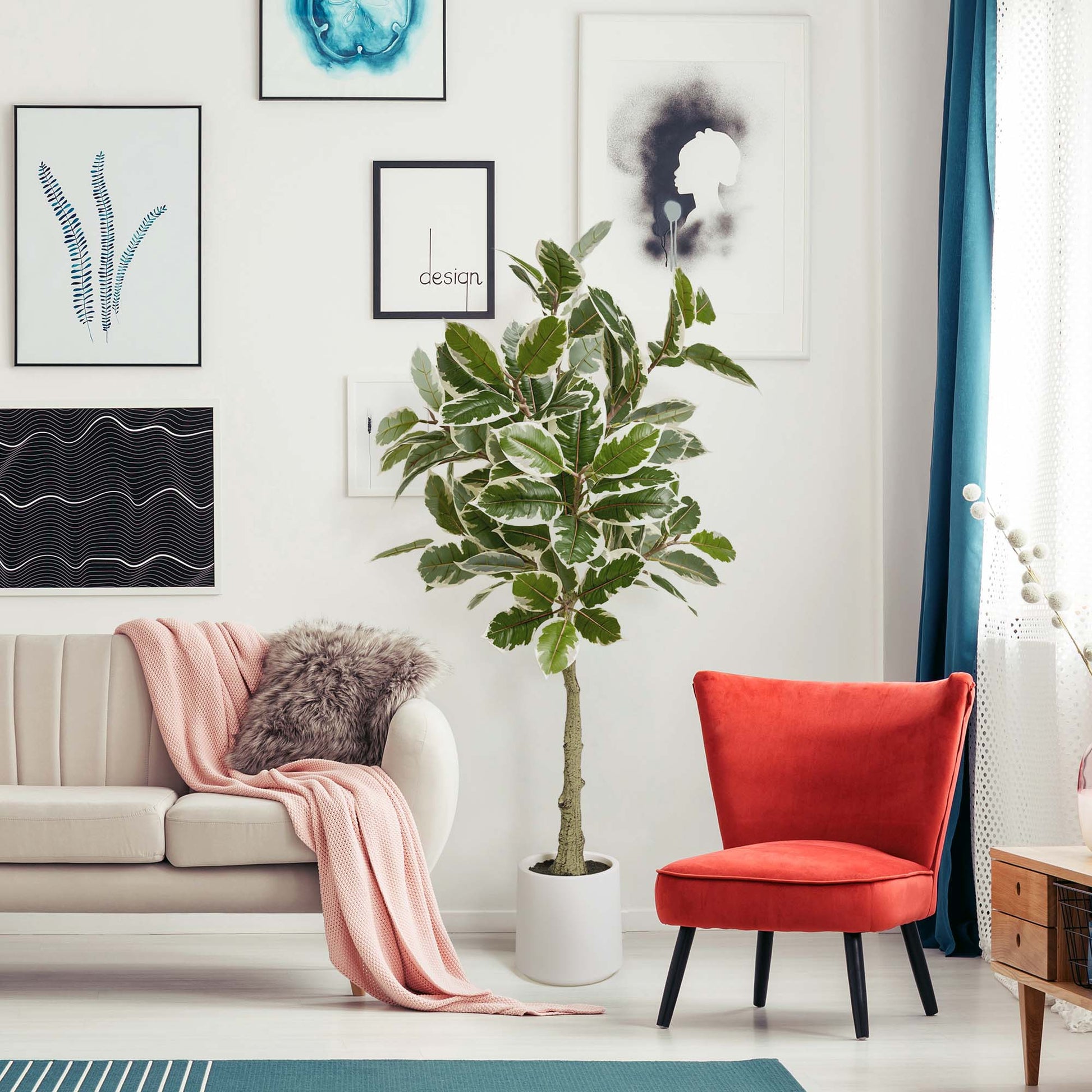 living room indoor tree plant Realistic Artificial Variegated Rubber Tree Faux Plant in a White Pot for Indoor Living Room or Office