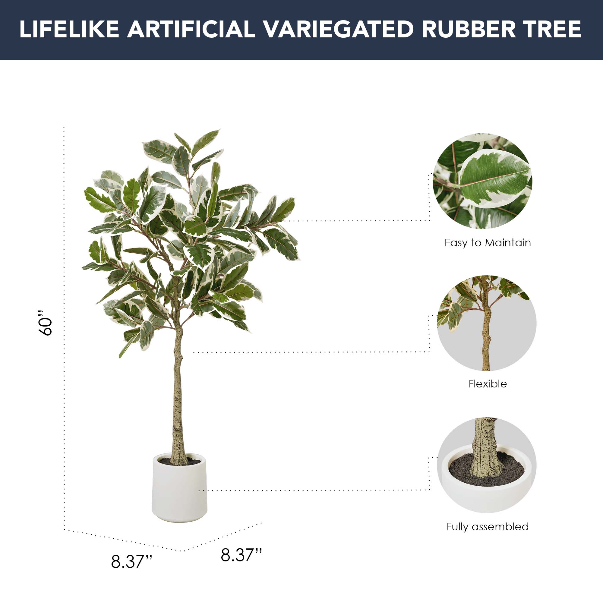 Realistic Artificial Variegated Rubber Tree Faux Plant in a White Pot for Indoor Living Room or Office - 60