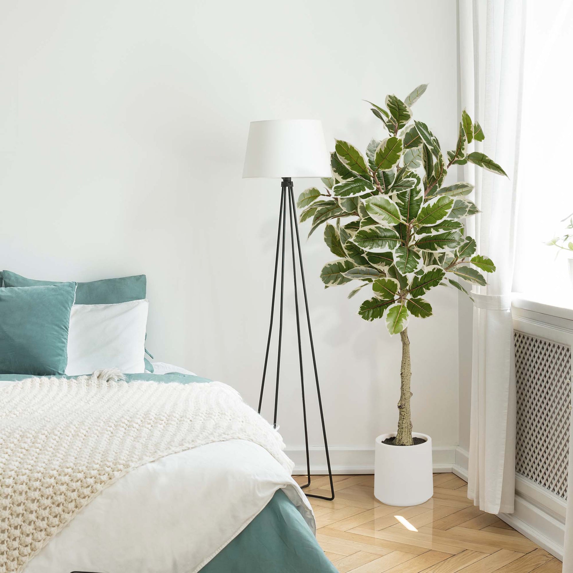 rubber tree in bedroom Realistic Artificial Variegated Rubber Tree Faux Plant in a White Pot for Indoor Living Room or Office - 60"