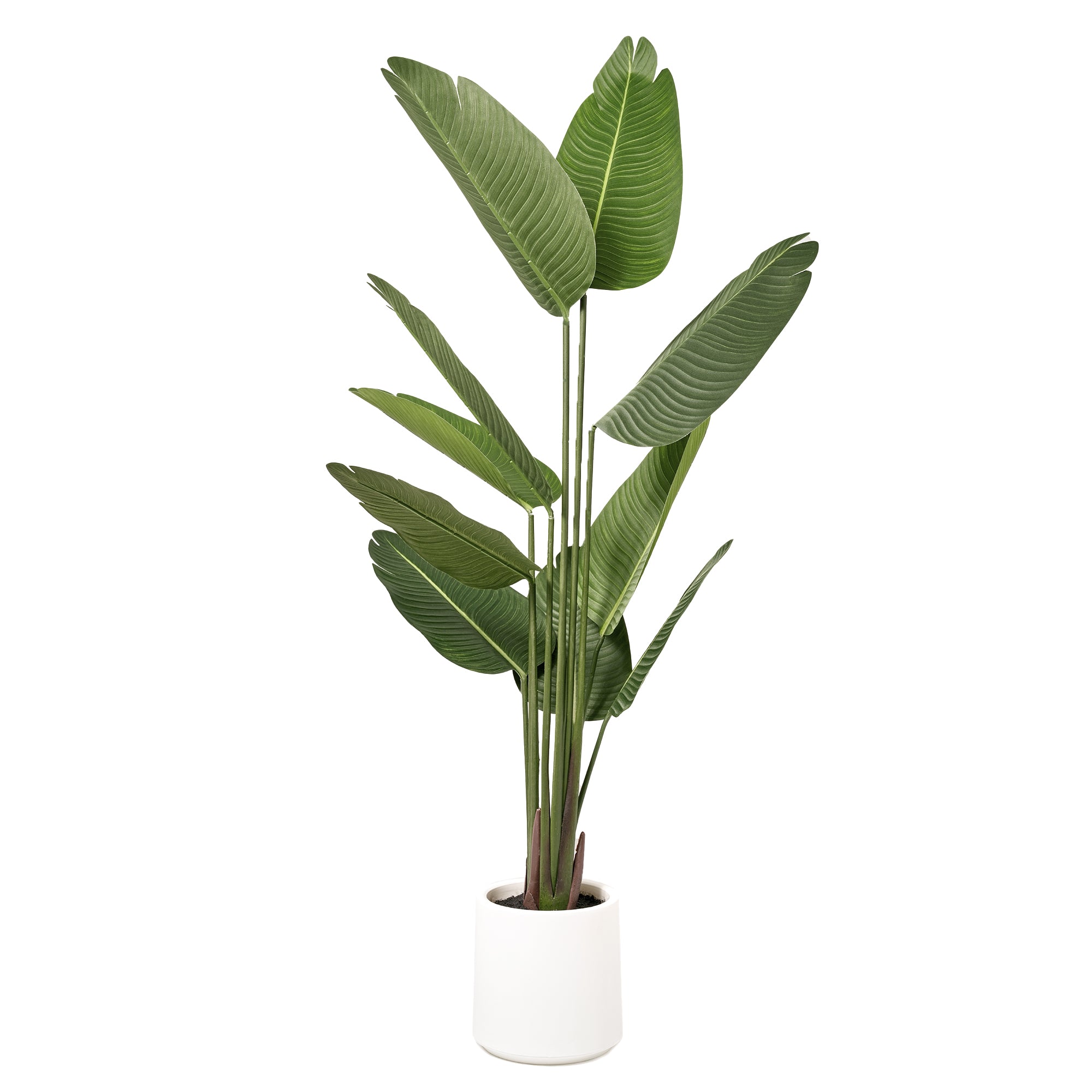 Realistic Artificial Palm Tree Faux Plant in a White Pot for Indoor Living Room or Office - 60