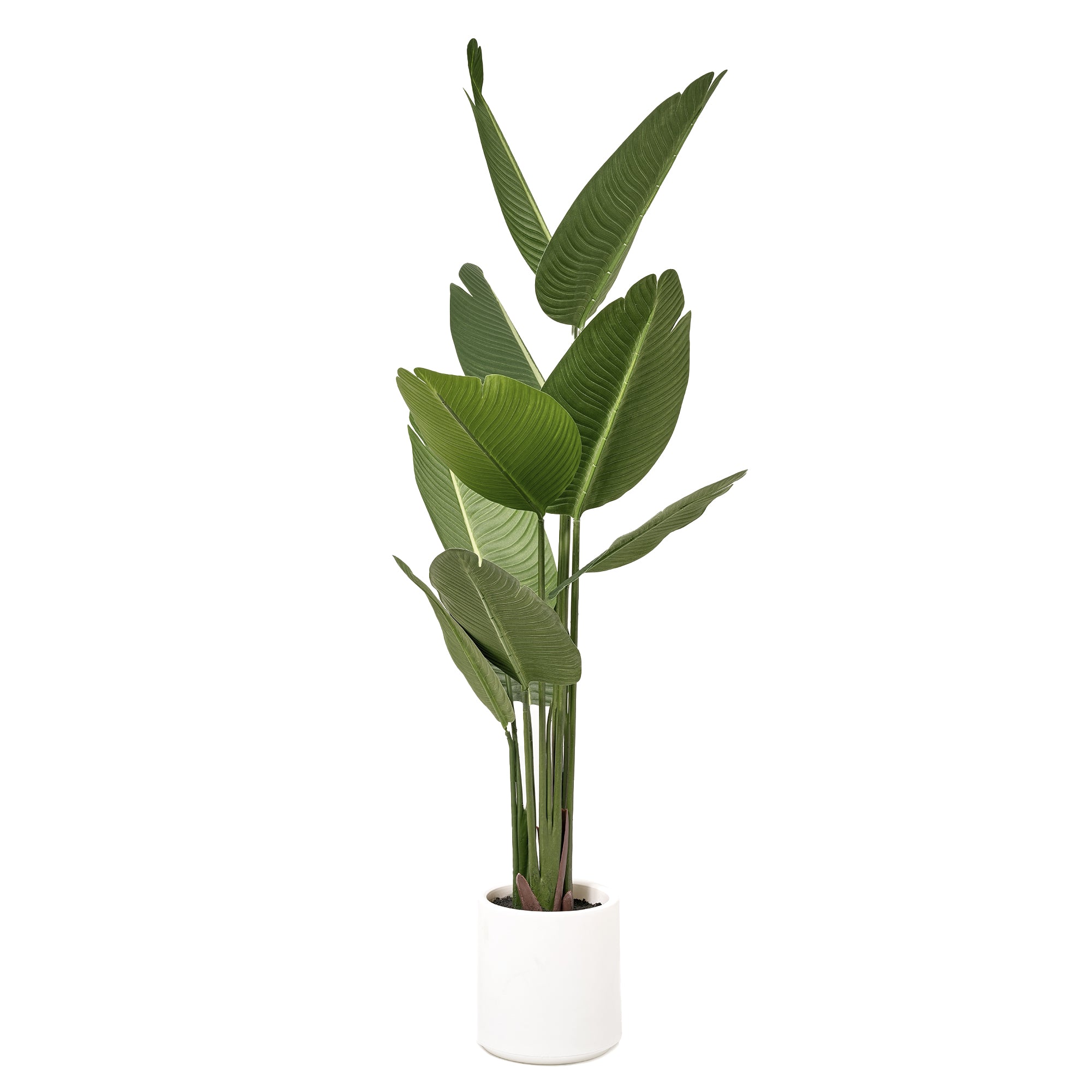 Realistic Artificial Palm Tree Faux Plant in a White Pot for Indoor Living Room or Office - 60