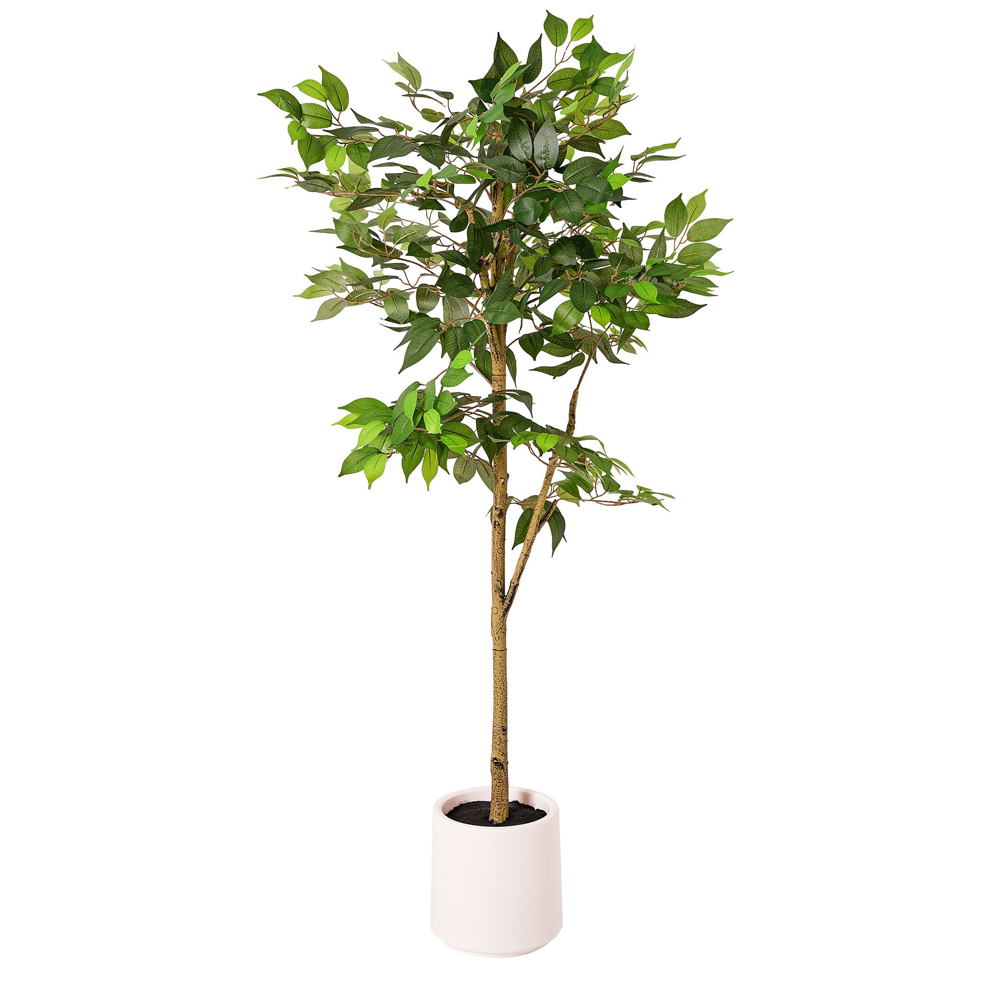 Realistic Artificial Ficus Tree Faux Plant in a White Pot - 60