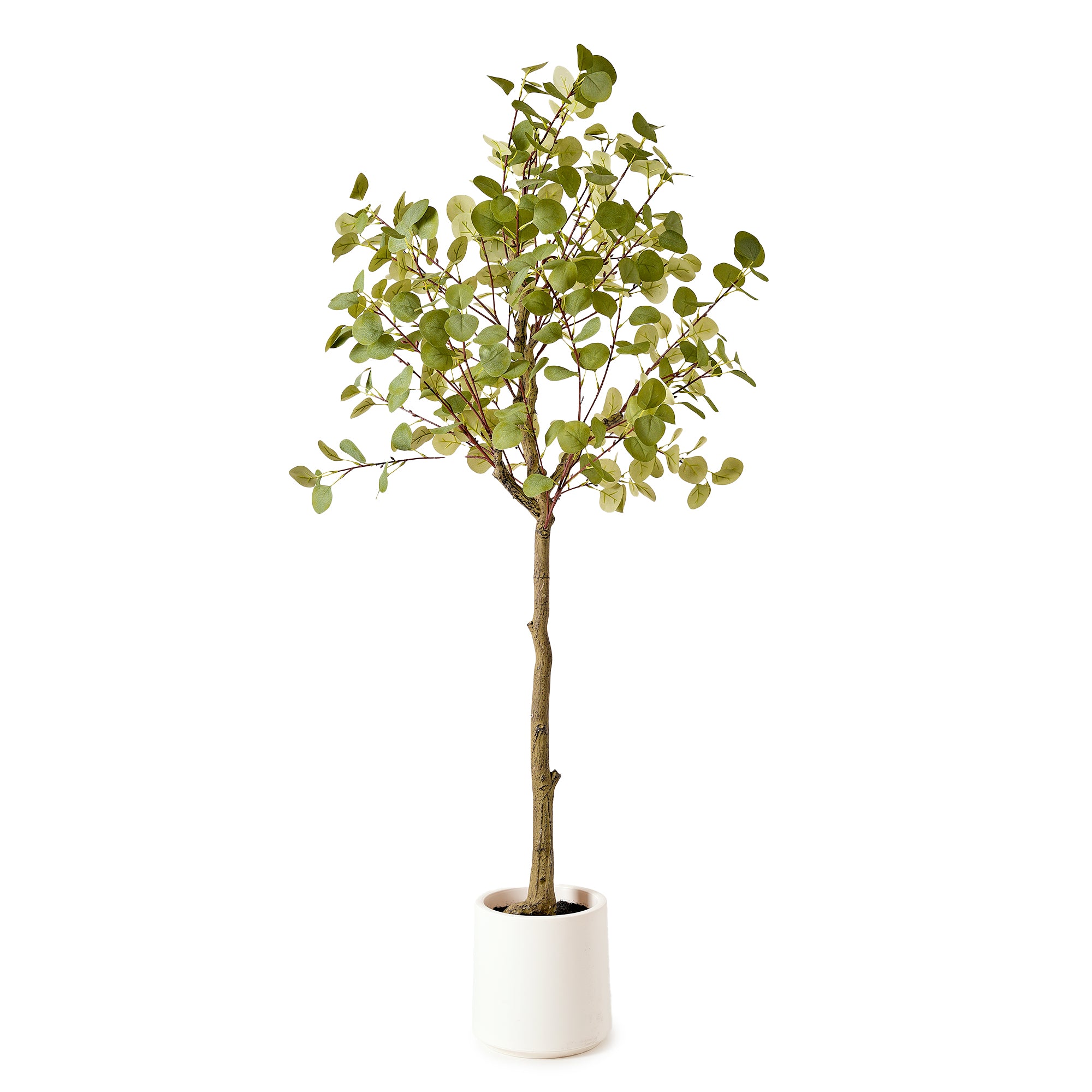 Realistic Artificial Eucalyptus Tree Faux Plant in a White Pot - 60