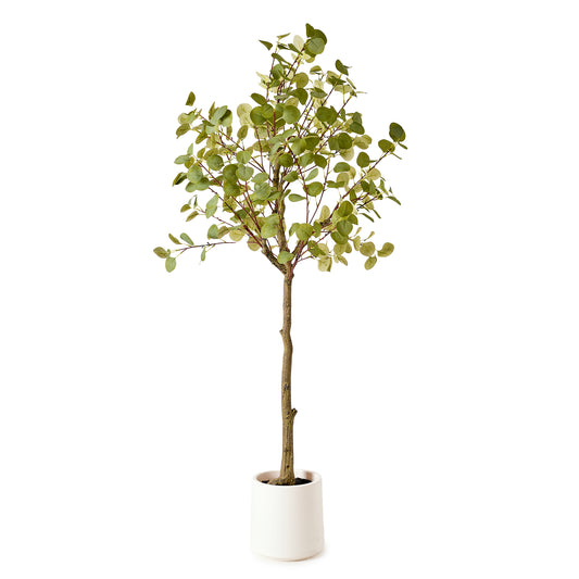 Realistic Artificial Eucalyptus Tree Faux Plant in a White Pot - 60" - Botanica Home