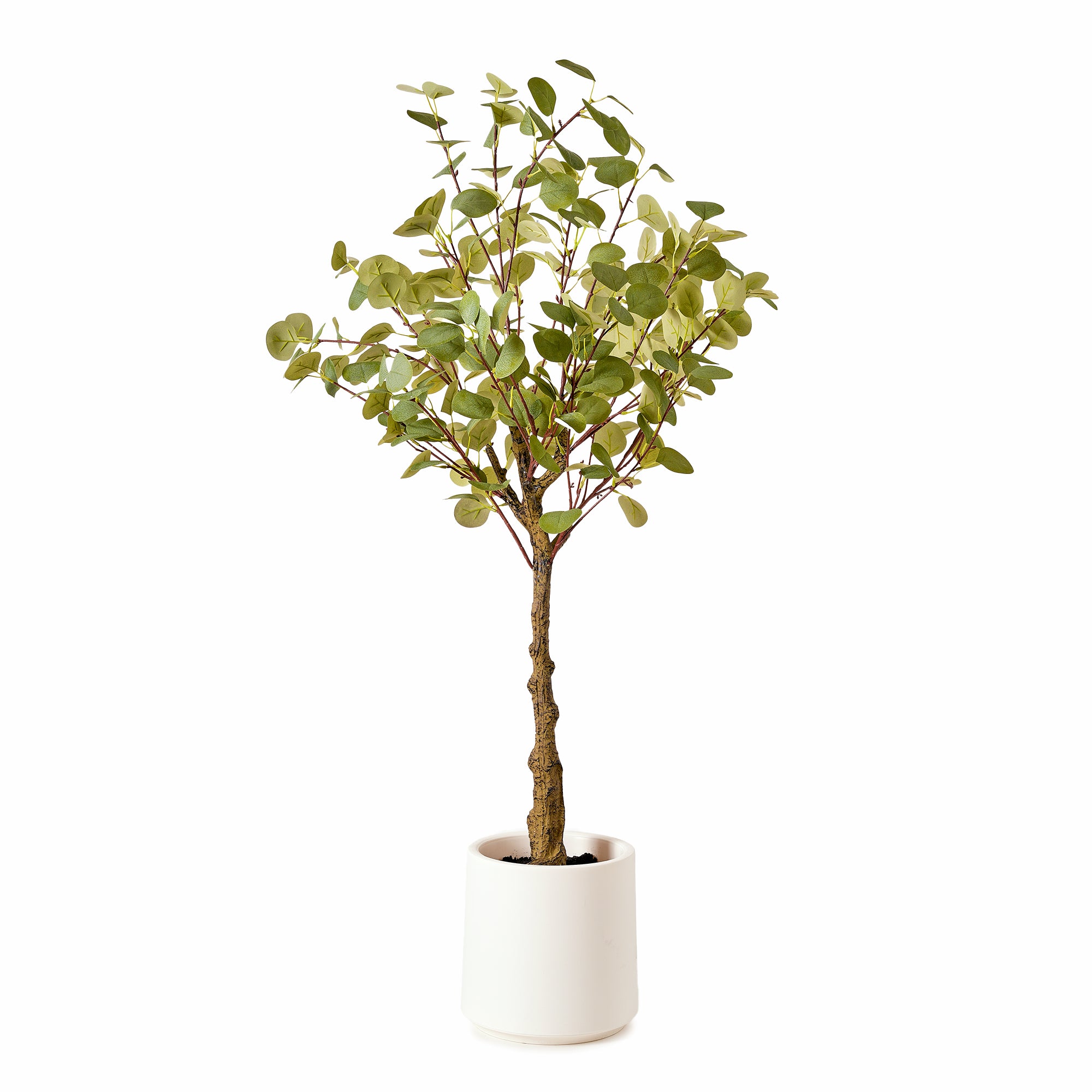 Realistic Artificial Eucalyptus Tree in a White Pot Faux Plant for Indoor Living Room or Office - 48