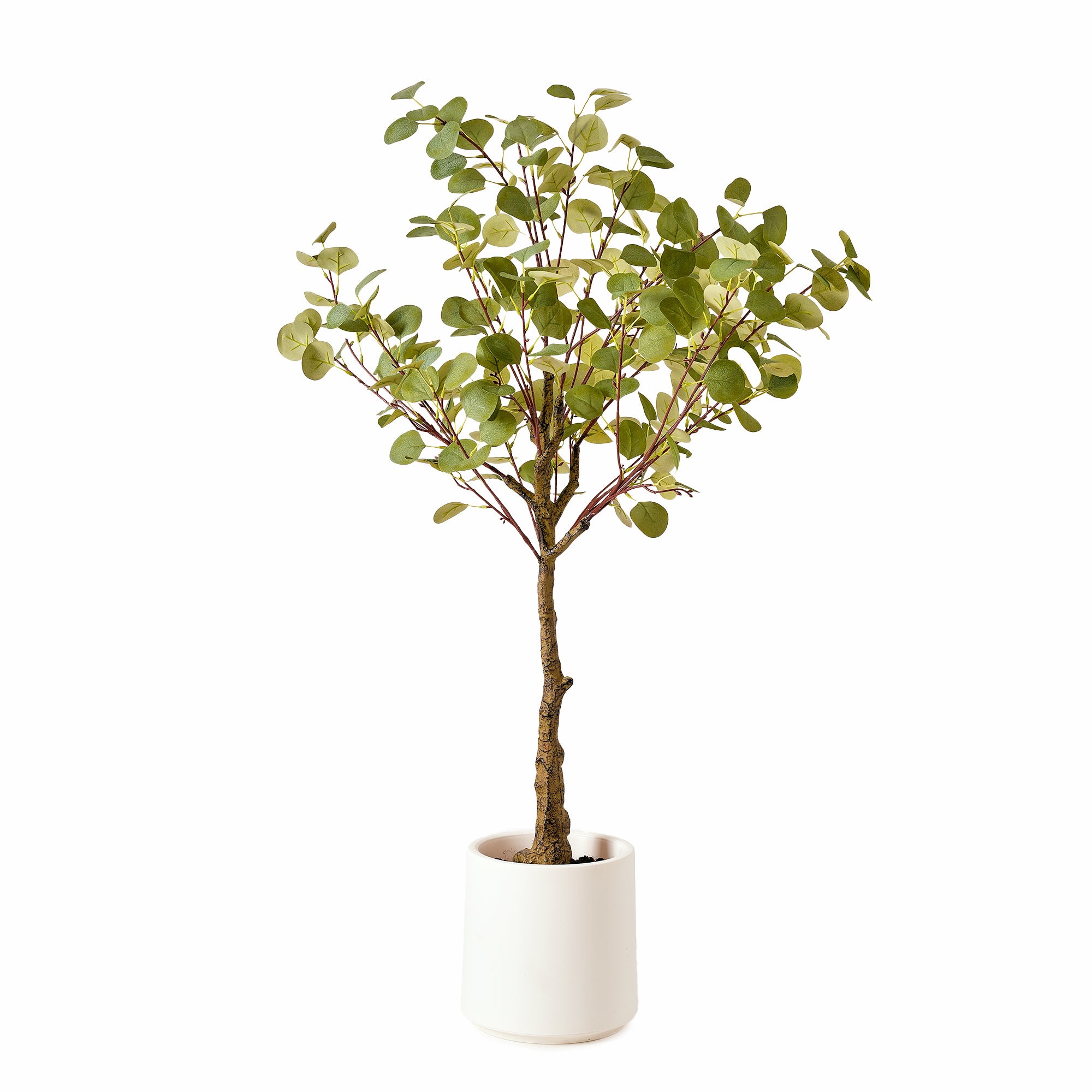 Realistic Artificial Eucalyptus Tree in a White Pot Faux Plant for Indoor Living Room or Office - 48